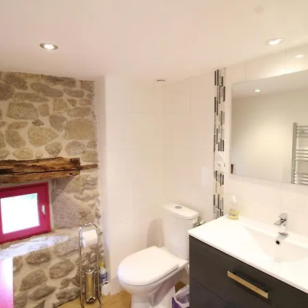 Maison De Caractere Avec Spa, Sauna, Et Terrasse Couverte A - Fr-1-742-558 Parlan